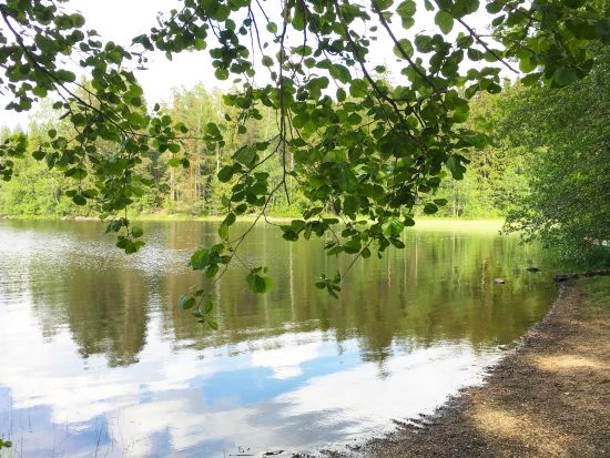 フィンランドの森と湖を満喫！リエスヤルヴィ国立公園（Liesjärvi National Park）ハイキングツアー＜英語ガイド／昼食付／ヘルシンキ発＞