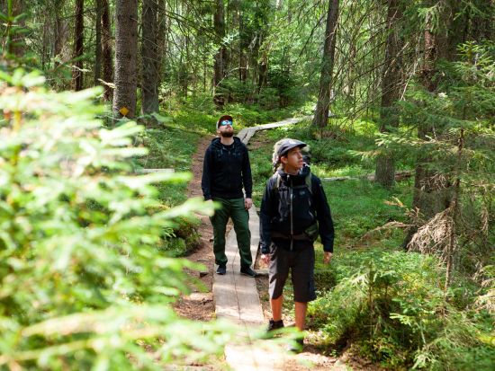 フィンランドの森と湖を満喫！リエスヤルヴィ国立公園（Liesjärvi National Park）ハイキングツアー＜英語ガイド／昼食付／ヘルシンキ発＞
