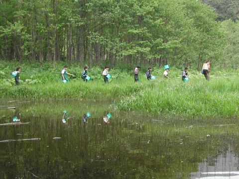 然別湖源流ヤンベツ川 水辺の森ガイドウォーク　川に育まれるいのちに触れてみよう＜5月末～10月／小学生以上／然別湖＞by然別湖ネイチャーセンター