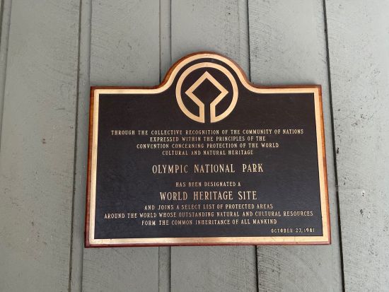 オリンピック国立公園 ホー・レインフォレスト　1日観光ツアー ＜6～10月／日本語ドライバーガイド＞