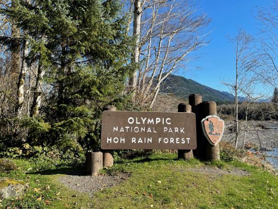 オリンピック国立公園 ホー・レインフォレスト　1日観光ツアー ＜6～10月／日本語ドライバーガイド＞