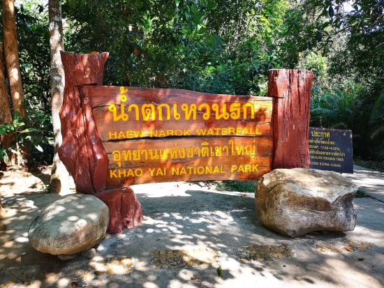 世界自然遺産カオヤイ国立公園＋象乗りトレッキング自然満喫1日ツアー＜1日／タイ料理ランチ／日本語ガイド＞