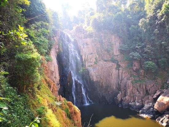 世界自然遺産カオヤイ国立公園＋象乗りトレッキング自然満喫1日ツアー＜1日／タイ料理ランチ／日本語ガイド＞