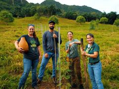 kualoa_tree_planting05