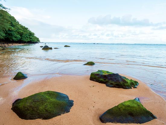 カウアイ島観光ツアー　ノースサイドコース　リマフリ・ガーデン＋ハナレイタウン＋キラウエアタウン＋キラウエア灯台など＜貸切／日本語ガイド＞の写真5