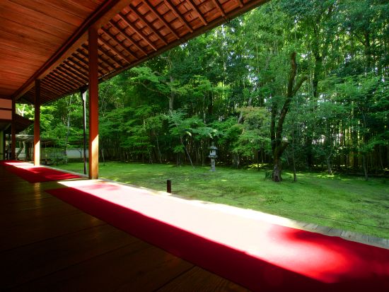 貸切観光タクシー 三千院～大徳寺など5ヵ所を巡る京都満喫プラン＜6.5時間／大津市内発／京都市内着／京都市内発オプションあり／1～9名＞by 滋賀ヤサカ自動車
