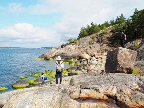 ポルッカラ半島（Porkkalanniemi）半日ウォーキングツアー ヘルシンキ近郊の大自然へ！＜ピクニックランチ付／英語ガイド／ヘルシンキ発＞