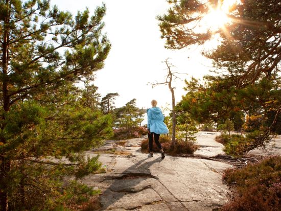 ポルッカラ半島（Porkkalanniemi）半日ウォーキングツアー ヘルシンキ近郊の大自然へ！＜ピクニックランチ付／英語ガイド／ヘルシンキ発＞
