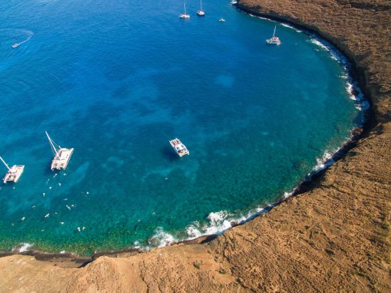 モロキニ島シュノーケリングクルーズ　モロキニクレーター＆タートルタウンの海中世界を満喫　朝食＆ランチ付き＜半日／英語スタッフ／マアラエア港発＞