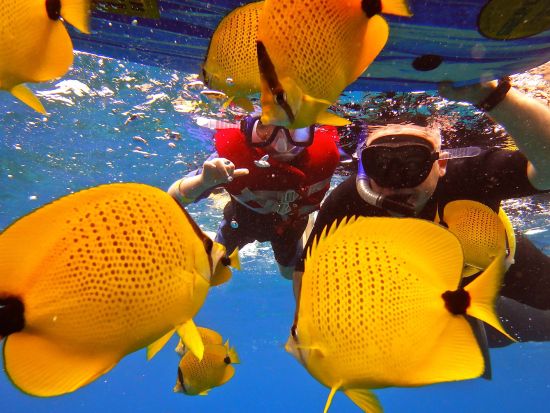 モロキニ島シュノーケリングクルーズ　モロキニクレーター＆タートルタウンの海中世界を満喫　朝食＆ランチ付き＜半日／英語スタッフ／マアラエア港発＞