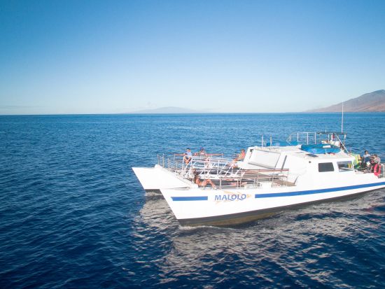 シュノーケリングクルーズ　モロキニ島またはコーラルガーデン　ホットドッグランチ付き＜午後／英語スタッフ／マアラエア港発＞