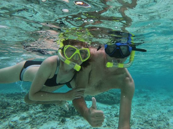 シュノーケリングクルーズ　モロキニ島またはコーラルガーデン　ホットドッグランチ付き＜午後／英語スタッフ／マアラエア港発＞