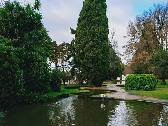 Salmon Ponds