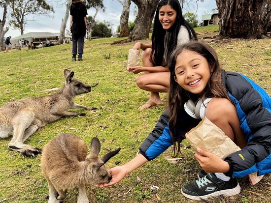 Hand feeding at Bonorong