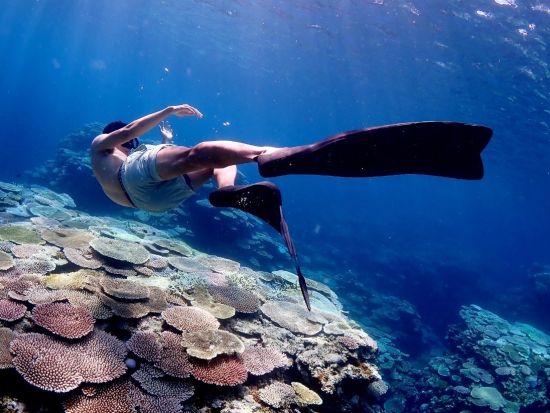 体験ダイビング(1ダイブ)+スキンダイビング　ビギナーさん大歓迎！楽しくわかりやすい講習で安全に石垣島の海を満喫＜1日／昼食付／市街地送迎＞ 