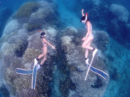 幻の島上陸+体験ダイビング+ウミガメシュノーケル　エメラルドブルーが広がる世界をご案内！石垣島の海を満喫できるツアー＜1日／初めてOK／昼食付／市街地送迎＞ 