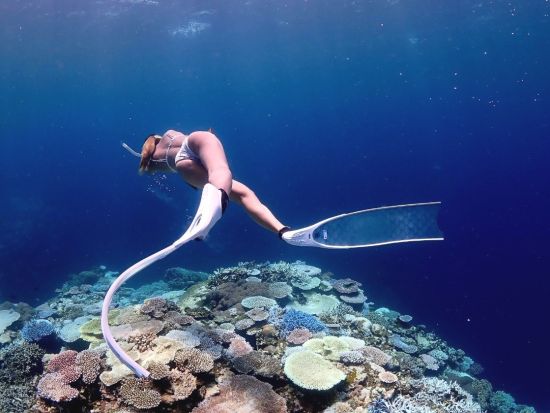 体験ダイビング(1ダイブ)+スキンダイビング　ビギナーさん大歓迎！楽しくわかりやすい講習で安全に石垣島の海を満喫＜1日／昼食付／市街地送迎＞ 