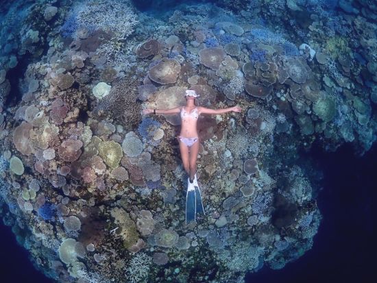 幻の島上陸+体験ダイビング+ウミガメスキンダイビング　石垣島旅行のメインにぴったりの充実プラン！写真映え抜群のマリン体験をご案内＜1日／昼食付／市街地送迎＞ 