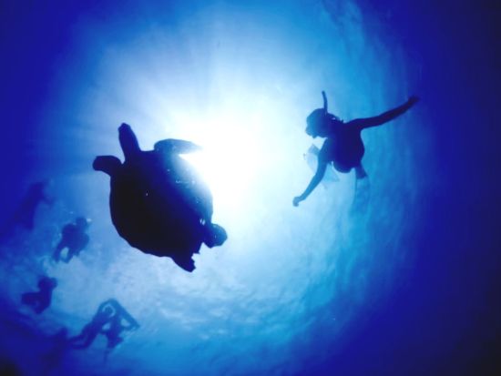 体験ダイビング(2ダイブ)+シュノーケル たっぷり２ダイブで石垣島の海を満喫！ウミガメやマンタに会いに行こう＜1日／昼食付／市街地送迎＞