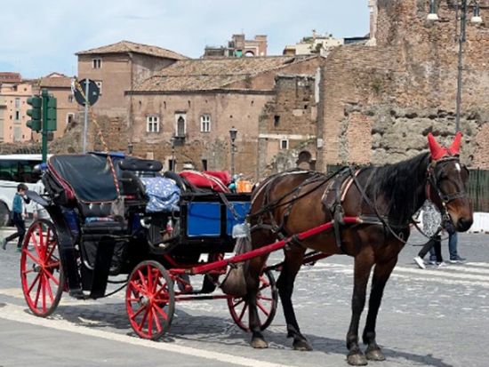 ローマの道を馬車で走る！世界遺産コロッセオ＋真実の口 半日観光 ＜貸切／日本語公認ガイド／午前or午後／ローマ発＞by Mybus