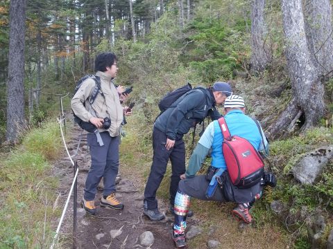 然別湖の森 ガイドウォーク　苔の森コース 火山が育んだ不思議な場所へ！＜5～10月／小学生以上／然別湖＞by然別湖ネイチャーセンター