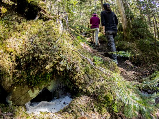 苔の森をいく（風穴）