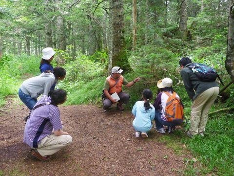 然別湖の森ガイドウォーク 原生林コース 悠久の時を経て生まれた森を歩く＜4～10月／小学生以上／然別湖＞by然別湖ネイチャーセンター