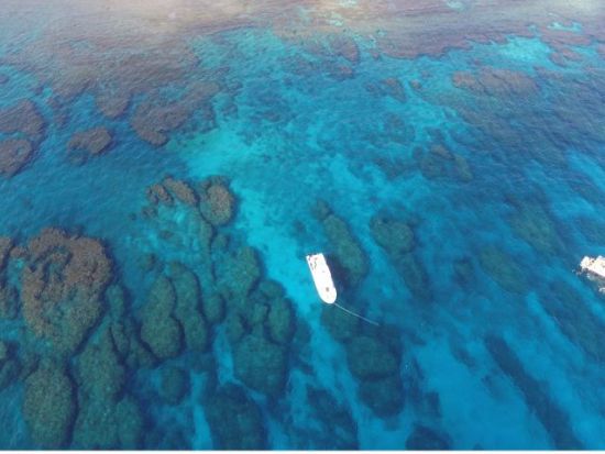 【お得な早割プラン】慶良間(チービシ)パラセーリング 県内最長ロープ200mで絶景を堪能！世界屈指の透明度を誇る海の上を空中散歩＜那覇発／特典付＞