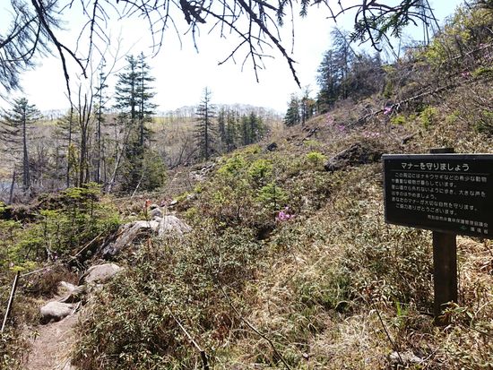 東雲湖ガレ場入口DSC_0956