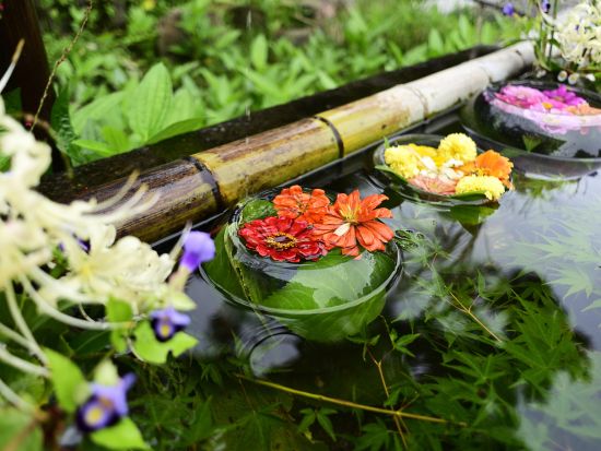 貸切観光タクシー 嵐山・嵯峨野のおすすめコースを巡るプラン＜8時間／大津市内発／京都市内着／京都市内発オプションあり／1～9名＞by 滋賀ヤサカ自動車