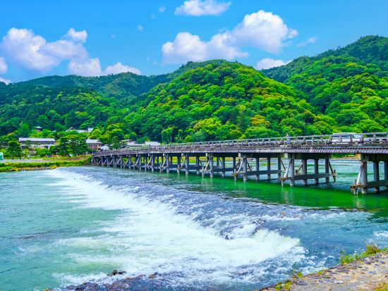 貸切観光タクシー 嵐山・嵯峨野のおすすめコースを巡るプラン＜8時間／大津市内発／京都市内着／京都市内発オプションあり／1～9名＞by 滋賀ヤサカ自動車
