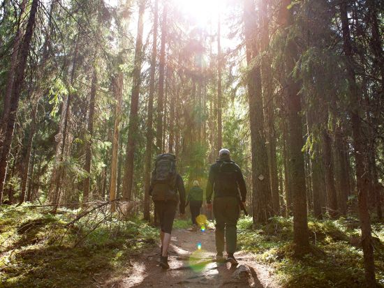シポーンコルピ国立公園ハイキング＆古都ポルヴォー 日帰り観光ツアー＜貸切／アウトドアランチ付／英語ガイド／ヘルシンキ発＞