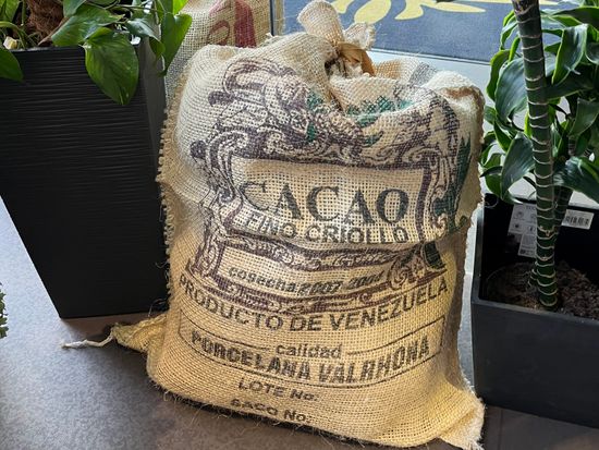 La citﾃｩ du chocholat 2