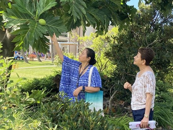 ビショップミュージアム　入場チケット事前予約　現代フラレッスン、レイ作り体験、ガーデンツアーなど体験プログラム付きプランあり