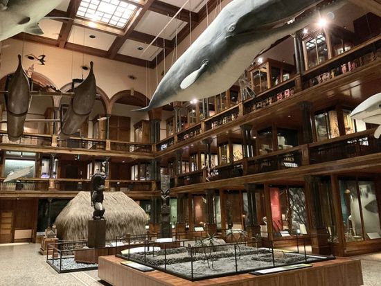 ビショップミュージアム　入場チケット事前予約　現代フラレッスン、レイ作り体験、ガーデンツアーなど体験プログラム付きプランあり