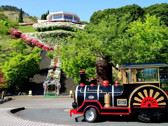 霧島市内発／鹿児島市内着貸切観光タクシー　神話の里 霧島満喫の旅　塩浸温泉＋丸尾の滝＋霧島神宮＋神話の里公園 ＜約4時間＞ by 旭交通タクシー