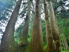 pixta_24104503_M