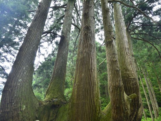 貸切ガイドツアー 妖怪ワールド満喫！鬼太郎と妖怪たちに会える島 水木しげるのルーツを探る＜5時間／隠岐ジオゲートウェイ／どうご 隠岐の島町＞byちょっくらOKI