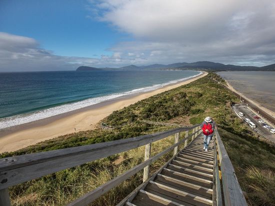 Bruny_Island_Safaris__March_2018_78_lg