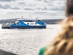 Bruny-Island-Safaris-2023-4