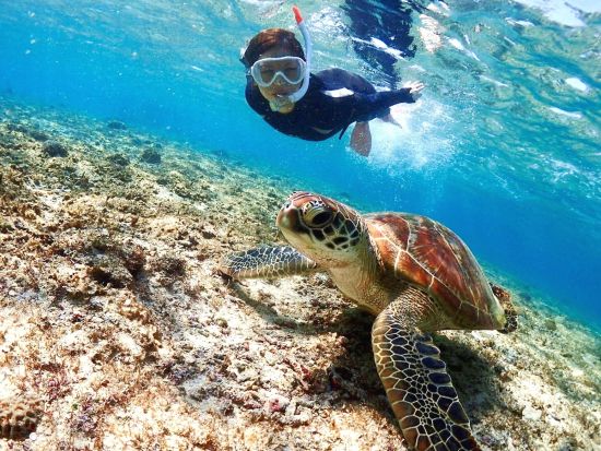 スキンダイビング（素潜り）シュノーケル経験者限定のプラン　宮古島の世界に誇る美しい海の情景を堪能！魚のように水中を優雅に泳ぐ世界へご案内＜ビーチ／半日／宮古島＞