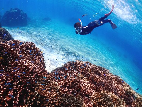 スキンダイビング（素潜り）シュノーケル経験者限定のプラン　宮古島の世界に誇る美しい海の情景を堪能！魚のように水中を優雅に泳ぐ世界へご案内＜ビーチ／半日／宮古島＞