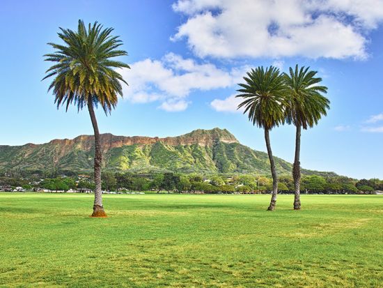 ワイキキ電動自転車ツアー　ダイアモンドヘッド＋カハラホテル＋カハラモール＋カピオラニ公園　土曜日はKCCファーマーズマーケットも！＜3時間半／日本語ガイド＞