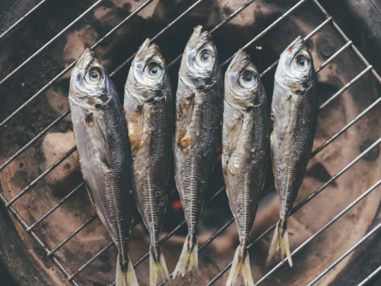ガイド付きサイクリングツアー E-bikeでのんびり海岸サイクリング＆プチ釣り体験 熊野灘錦漁港と海の幸コース＜4時間／昼食付／大紀町＞