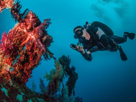 ジェットスキー＆選べるマリンアクティビティ セブ島の海を満喫！＜英語インストラクター＞*シャングリラホテル内ダイブショップ催行