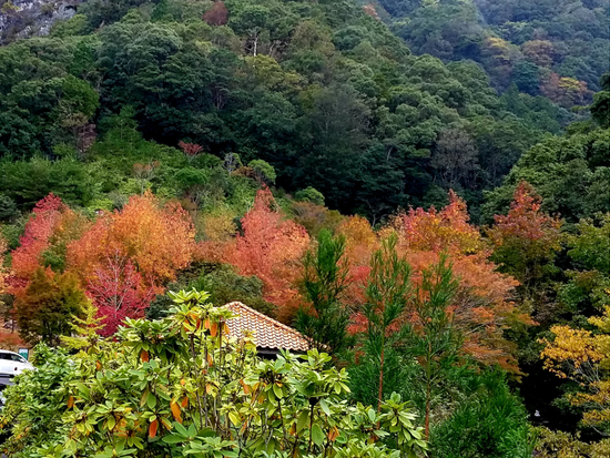 スクリーンショット 2023-05-23 100116