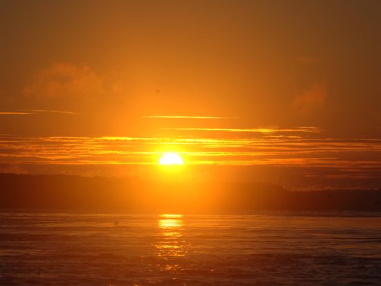 朝日1_アマゾン