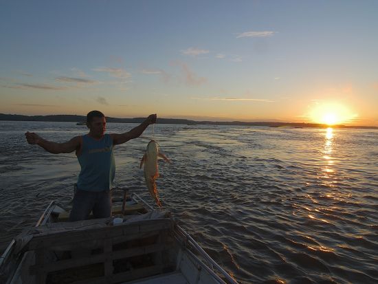 アマゾンで人気の「エボルソンロッジ」に宿泊するエコツアー！エアコンや無料Wifi完備で快適にジャングルステイ＜日本語ガイド／空港送迎可／マナウス発＞