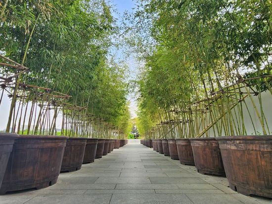 National Museum of Korea (2)