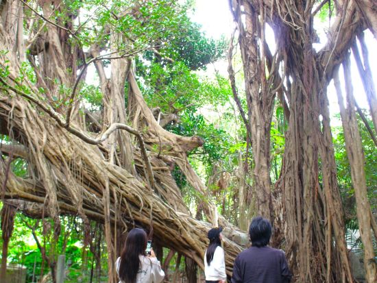 神々の島 浜比嘉島　歴史・伝説・自然巡りツアー！ 自然歴史ガイドが希望にあわせてご案内＜0歳～／2～3時間／貸切／浜比嘉島＞byチャーナビ沖縄